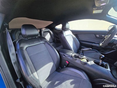 2019 Ford Mustang Shelby GT350
