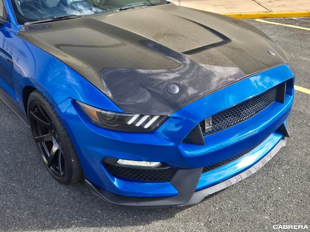 2019 Ford Mustang Shelby GT350