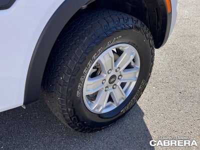 2024 Ford Ranger XL