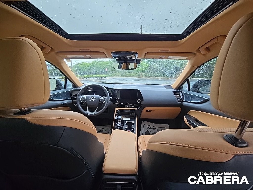 2025 Lexus NX NX 250 Premium