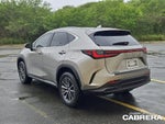 2025 Lexus NX NX 250 Premium