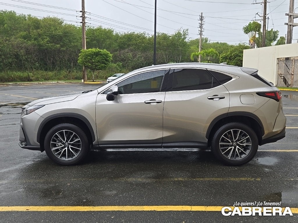 2025 Lexus NX NX 250 Premium