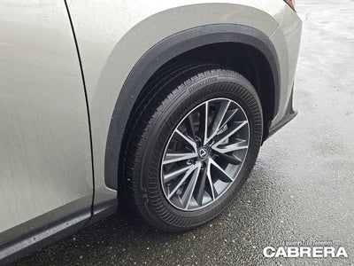 2025 Lexus NX NX 250 Premium