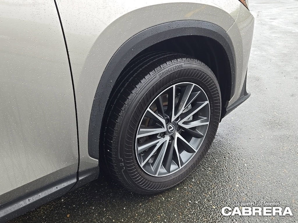 2025 Lexus NX NX 250 Premium