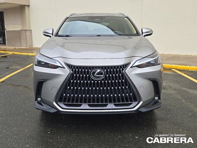 2025 Lexus NX NX 250 Premium