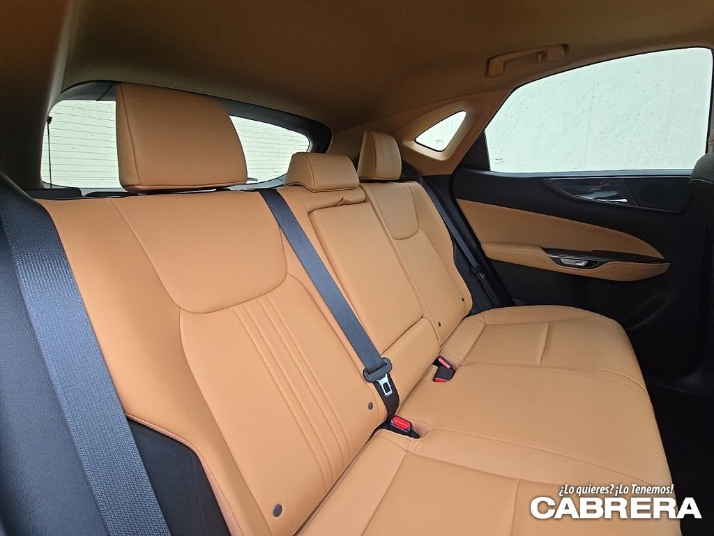 2025 Lexus NX NX 250 Premium