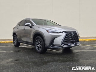 2025 Lexus NX NX 250 Premium