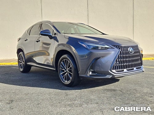 2025 Lexus NX NX 250 Premium