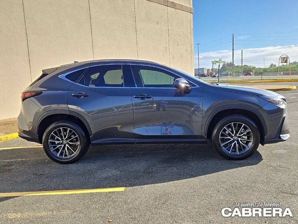 2025 Lexus NX NX 250 Premium