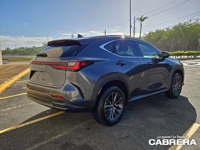 2025 Lexus NX NX 250 Premium