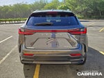 2025 Lexus NX NX 250 Premium