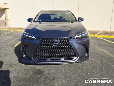 2025 Lexus NX NX 250 Premium
