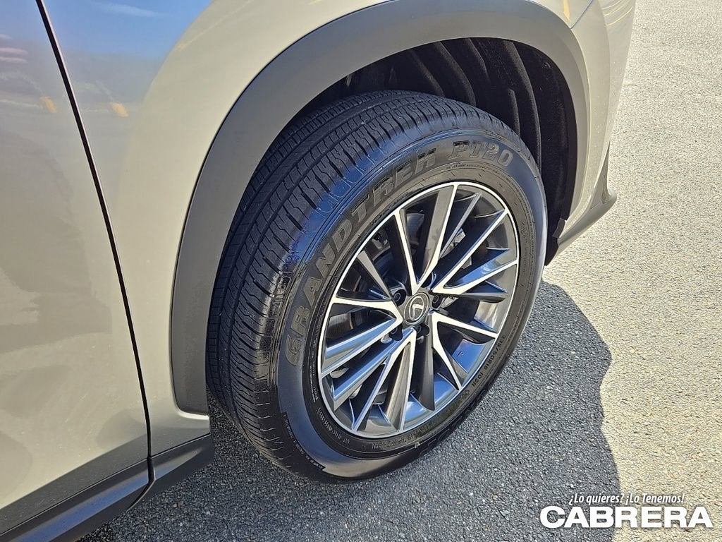 2025 Lexus NX NX 250