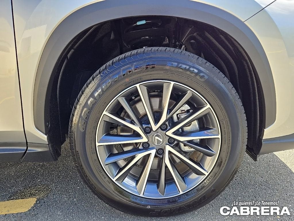 2025 Lexus NX NX 250