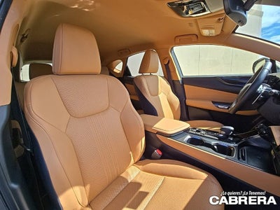 2025 Lexus NX NX 250