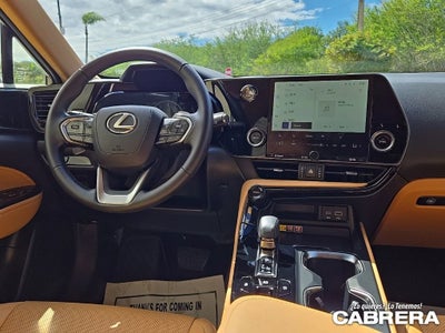 2025 Lexus NX NX 250