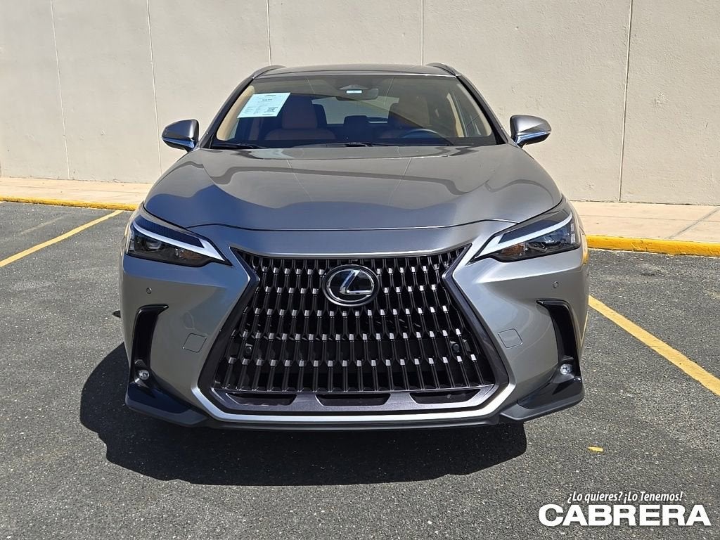 2025 Lexus NX NX 250