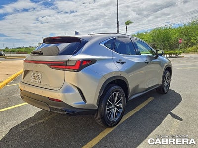 2025 Lexus NX NX 250