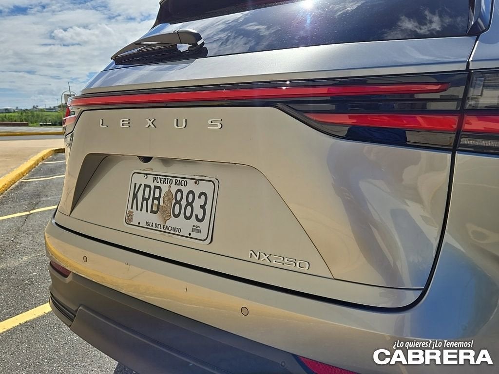 2025 Lexus NX NX 250