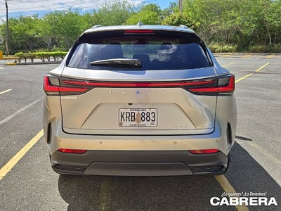 2025 Lexus NX NX 250