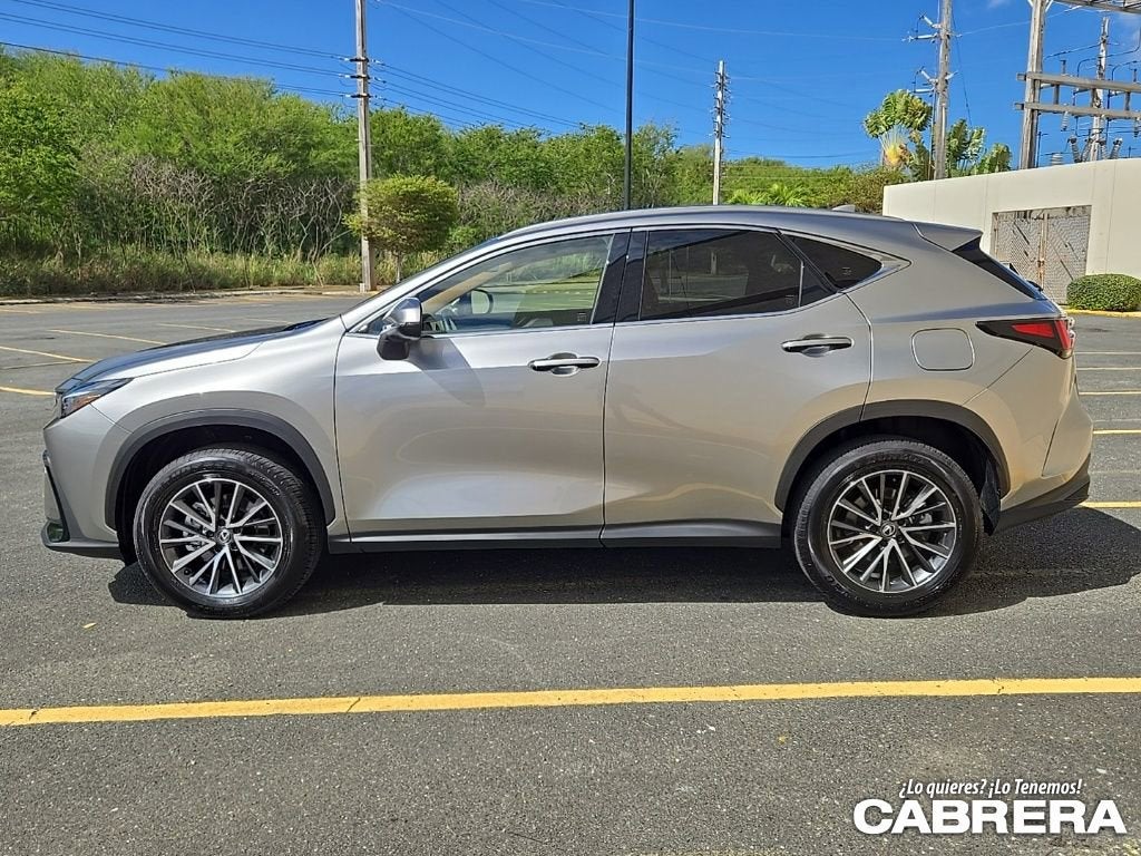 2025 Lexus NX NX 250