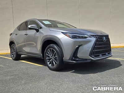 2025 Lexus NX NX 250