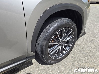 2025 Lexus NX NX 250