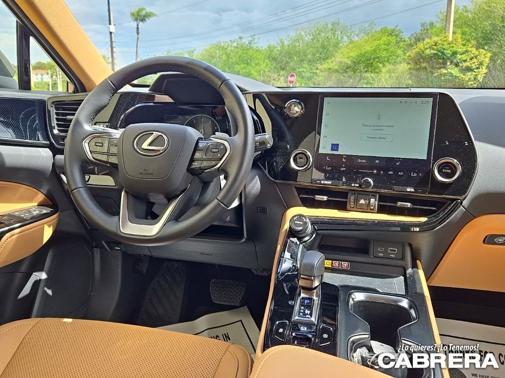 2025 Lexus NX NX 250