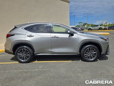 2025 Lexus NX NX 250