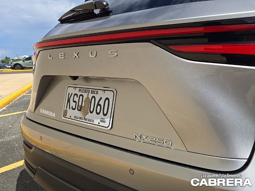 2025 Lexus NX NX 250