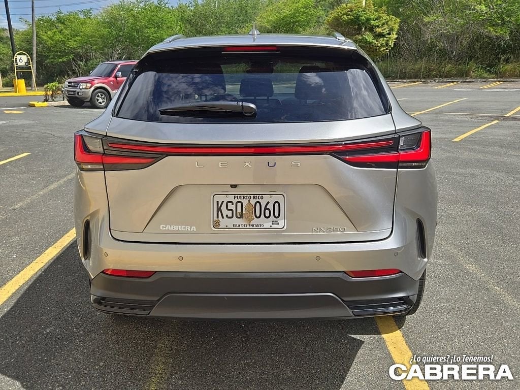 2025 Lexus NX NX 250