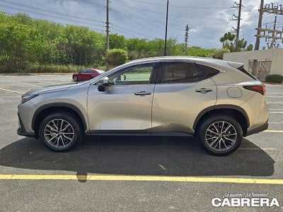 2025 Lexus NX NX 250