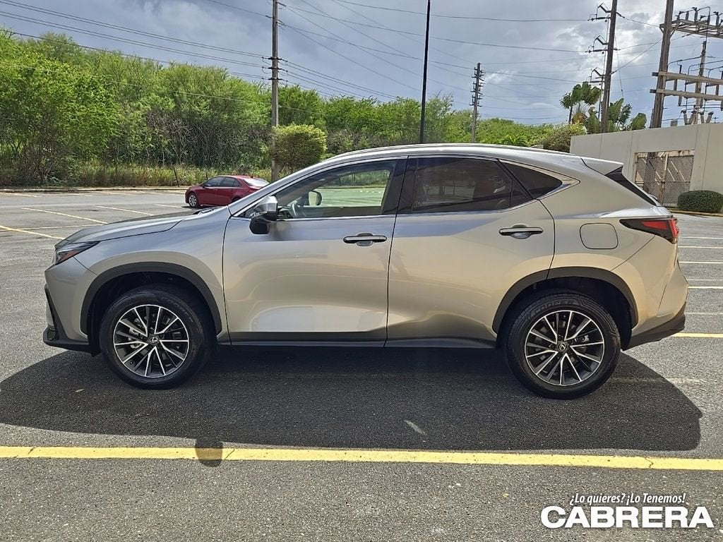 2025 Lexus NX NX 250