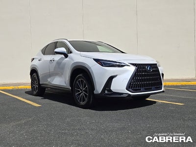 2025 Lexus NX NX 250 Premium