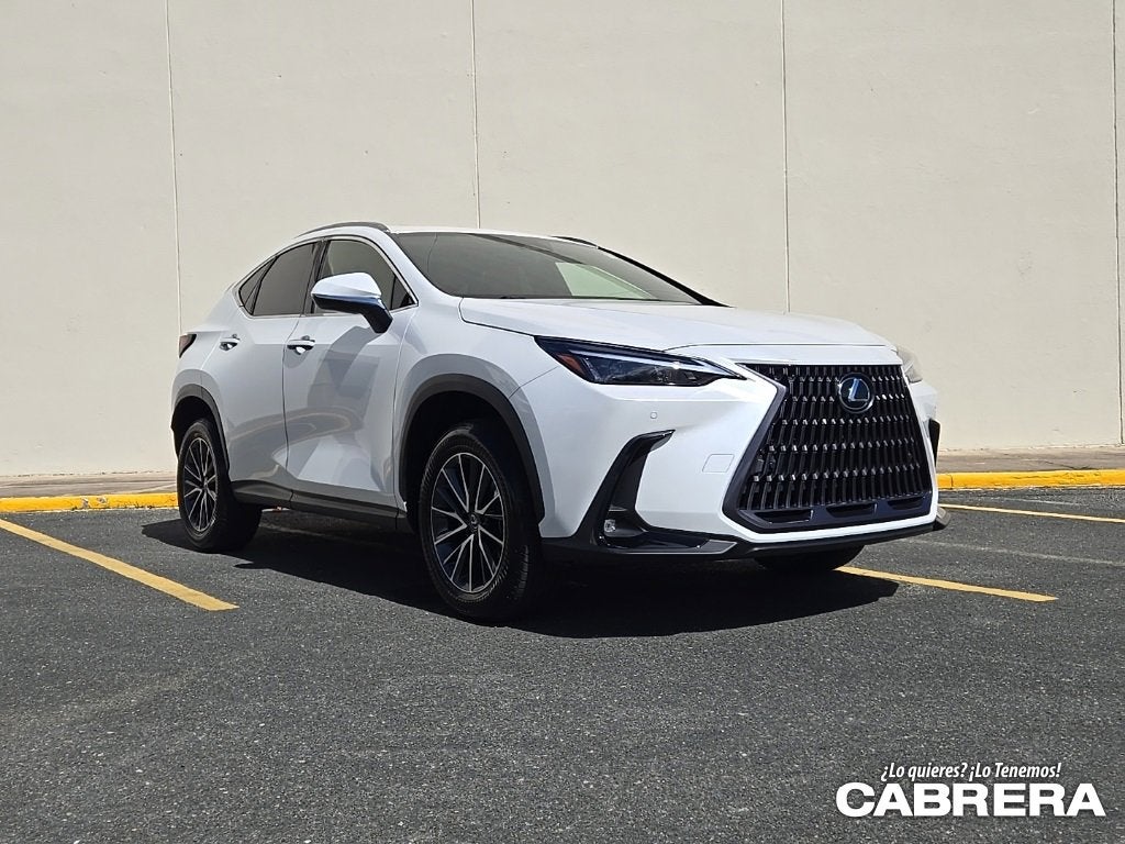 2025 Lexus NX NX 250 Premium