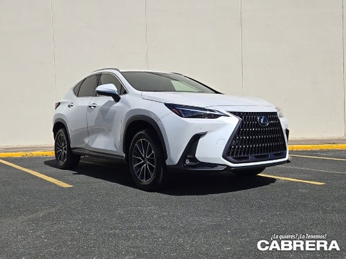 2025 Lexus NX NX 250 Premium