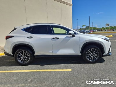 2025 Lexus NX NX 250 Premium