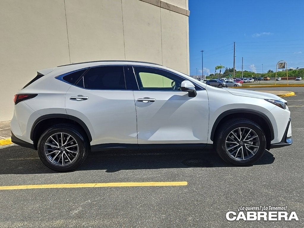 2025 Lexus NX NX 250 Premium