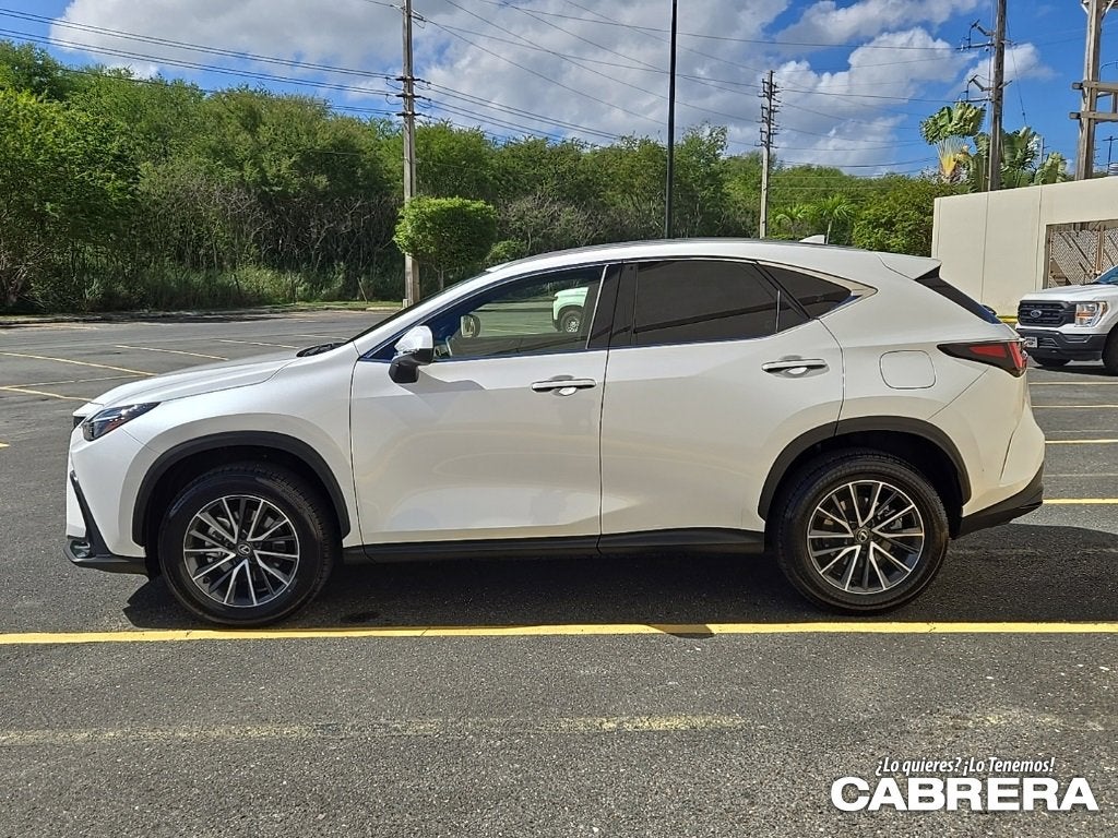2025 Lexus NX NX 250 Premium