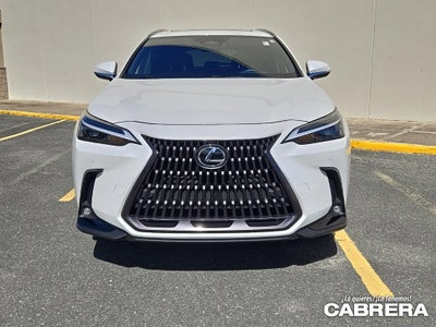 2025 Lexus NX NX 250 Premium