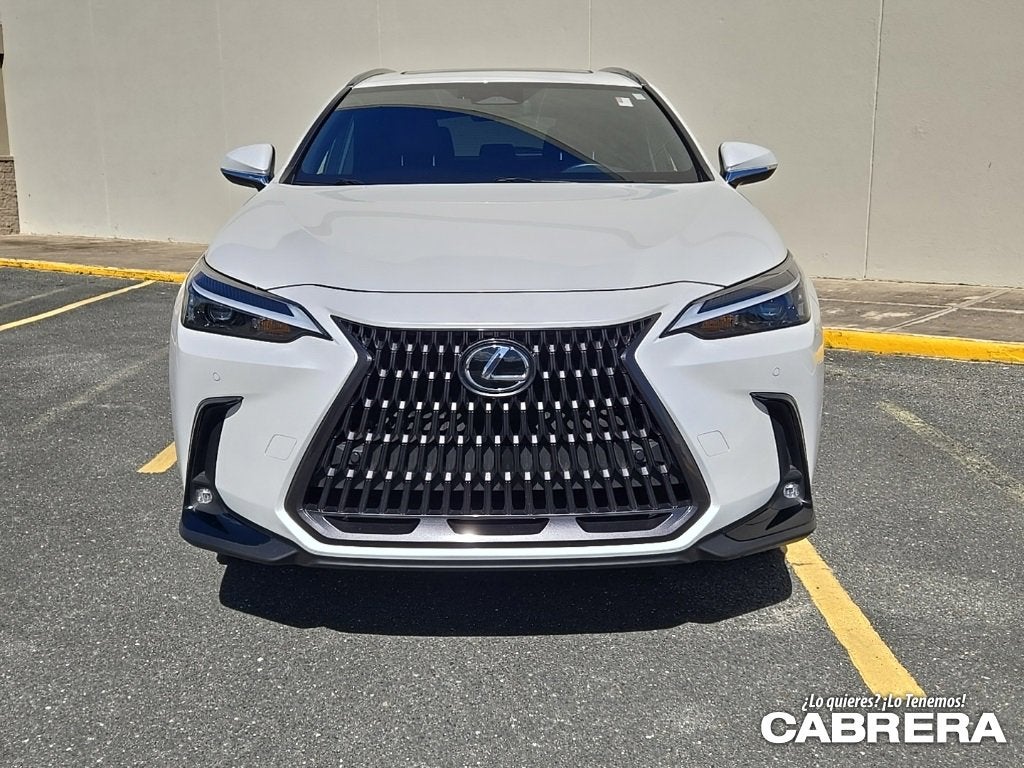 2025 Lexus NX NX 250 Premium
