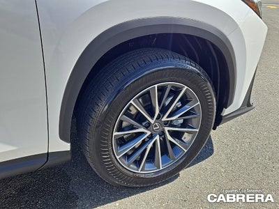 2025 Lexus NX NX 250 Premium