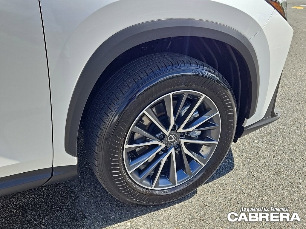 2025 Lexus NX NX 250 Premium