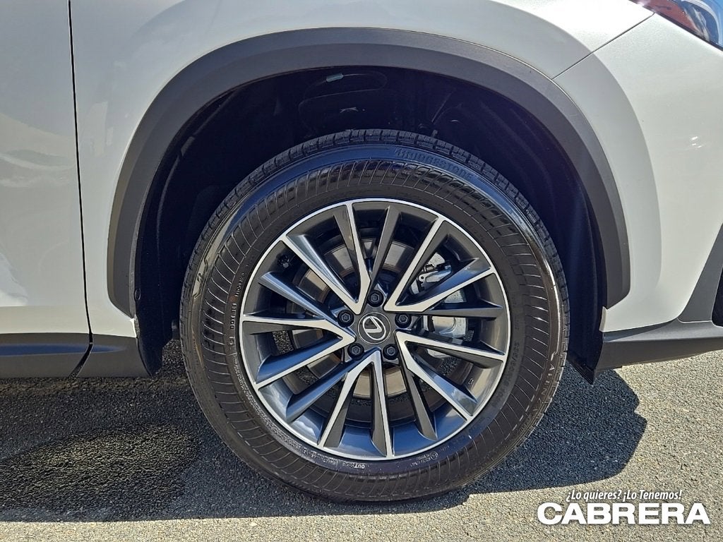 2025 Lexus NX NX 250 Premium