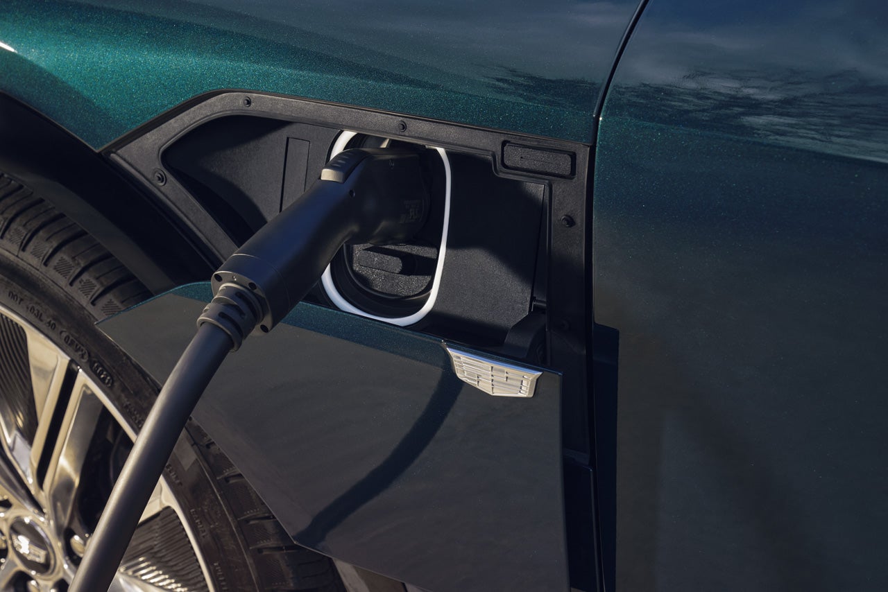 Cabrera Hermanos in ARECIBO PR